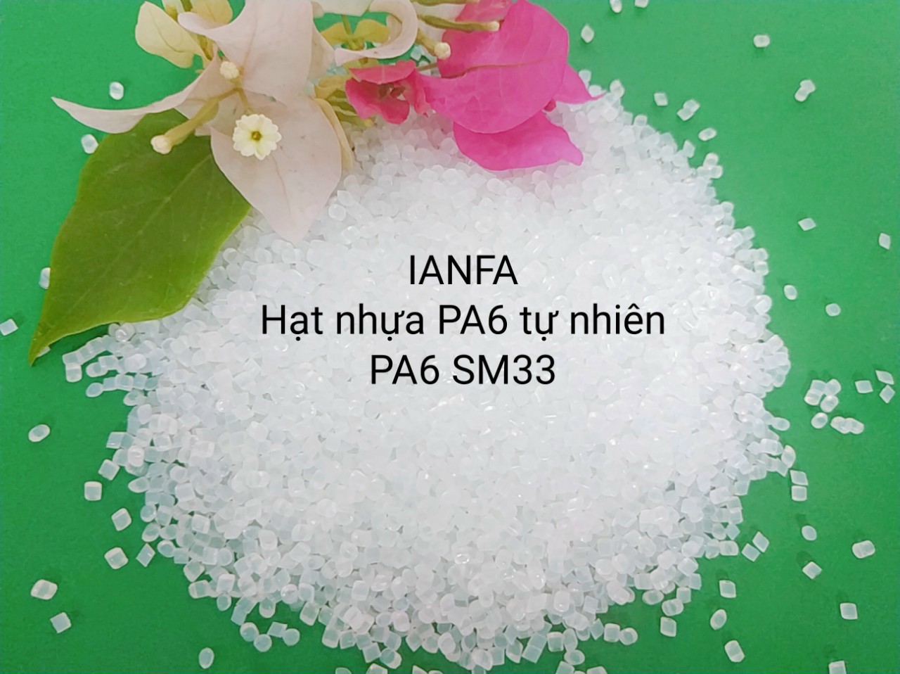 Hạt nhựa PA6 tự nhiên - Công Ty TNHH IANFA
